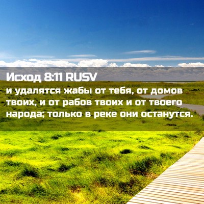Picture 02 - Исход 8:11 RUSV - и удалятся жабы от тебя, от - Bible Verse Picture