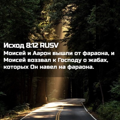 Picture 02 - Исход 8:12 RUSV - Моисей и Аарон вышли от - Bible Verse Picture
