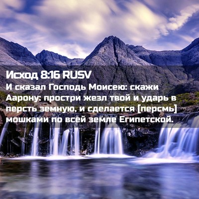 Picture 02 - Исход 8:16 RUSV - И сказал Господь Моисею: - Bible Verse Picture
