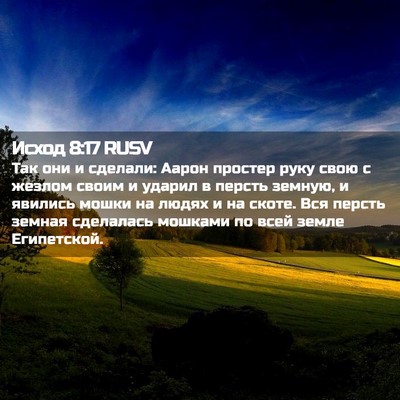 Picture 02 - Исход 8:17 RUSV - Так они и сделали: Аарон - Bible Verse Picture