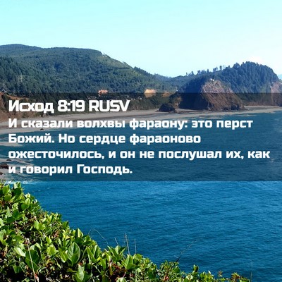 Picture 02 - Исход 8:19 RUSV - И сказали волхвы фараону: - Bible Verse Picture