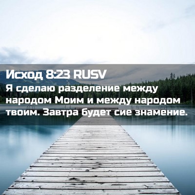 Picture 02 - Исход 8:23 RUSV - Я сделаю разделение между - Bible Verse Picture