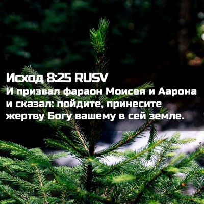 Picture 02 - Исход 8:25 RUSV - И призвал фараон Моисея и - Bible Verse Picture