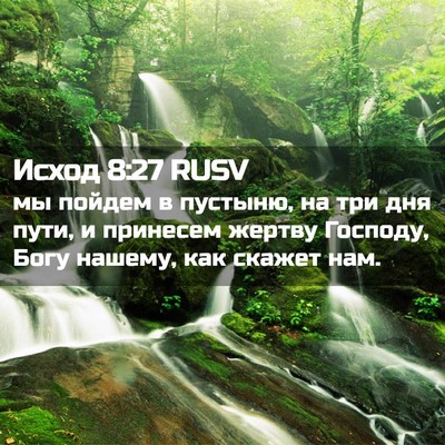 Picture 02 - Исход 8:27 RUSV - мы пойдем в пустыню, на три - Bible Verse Picture