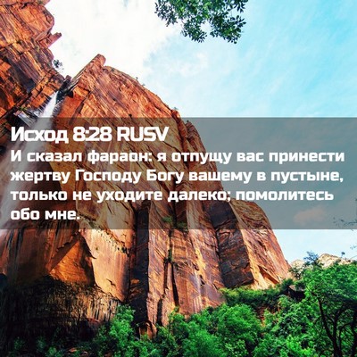 Picture 02 - Исход 8:28 RUSV - И сказал фараон: я отпущу - Bible Verse Picture