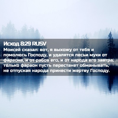 Picture 02 - Исход 8:29 RUSV - Моисей сказал: вот, я - Bible Verse Picture