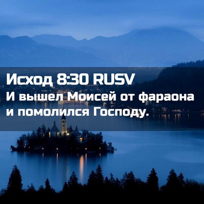Picture 02 - Исход 8:30 RUSV - И вышел Моисей от фараона и - Bible Verse Picture