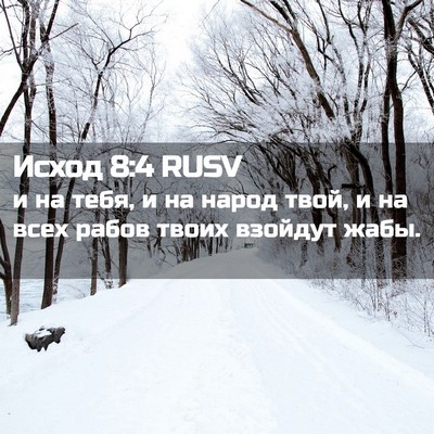 Picture 02 - Исход 8:4 RUSV - и на тебя, и на народ твой, и - Bible Verse Picture