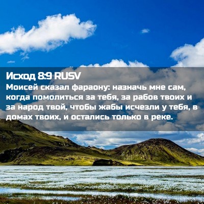 Picture 02 - Исход 8:9 RUSV - Моисей сказал фараону: - Bible Verse Picture