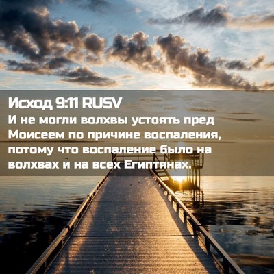 Picture 02 - Исход 9:11 RUSV - И не могли волхвы устоять - Bible Verse Picture