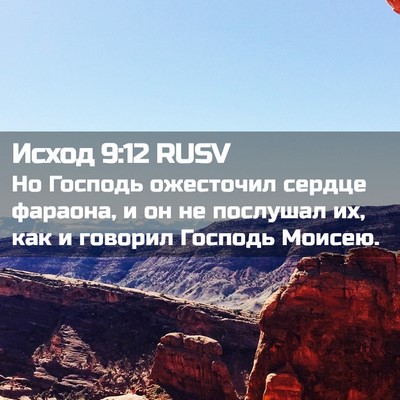Picture 02 - Исход 9:12 RUSV - Но Господь ожесточил - Bible Verse Picture