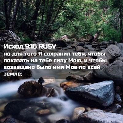 Picture 02 - Исход 9:16 RUSV - но для того Я сохранил - Bible Verse Picture