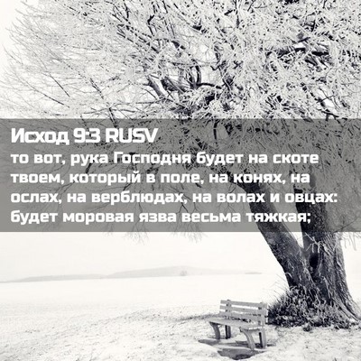 Picture 02 - Исход 9:3 RUSV - то вот, рука Господня будет - Bible Verse Picture