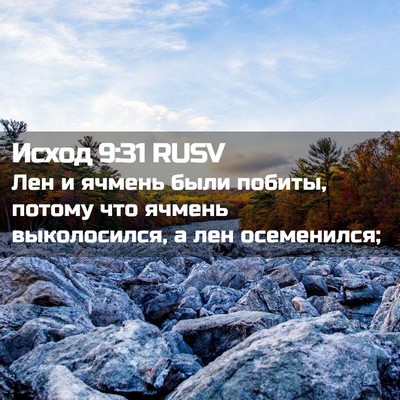 Picture 02 - Исход 9:31 RUSV - Лен и ячмень были побиты, - Bible Verse Picture