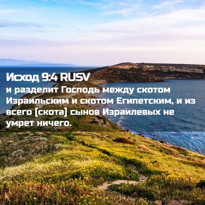 Picture 02 - Исход 9:4 RUSV - и разделит Господь между - Bible Verse Picture