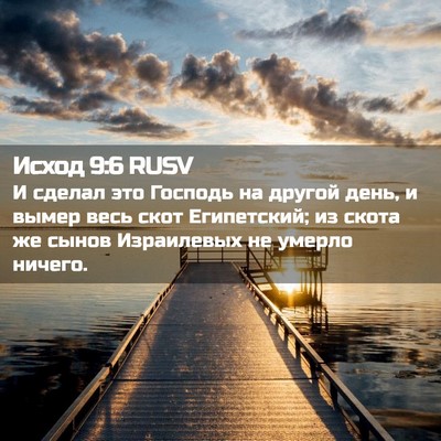 Picture 02 - Исход 9:6 RUSV - И сделал это Господь на - Bible Verse Picture