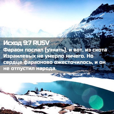 Picture 02 - Исход 9:7 RUSV - Фараон послал [узнать], и - Bible Verse Picture