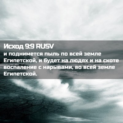 Picture 02 - Исход 9:9 RUSV - и поднимется пыль по всей - Bible Verse Picture