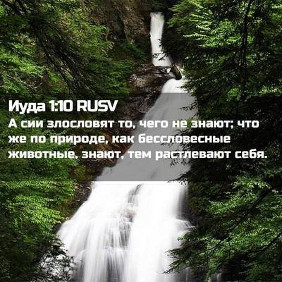 Picture 02 - Иуда 1:10 RUSV - А сии злословят то, чего не - Bible Verse Picture