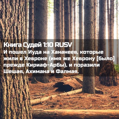Picture 02 - Книга Судей 1:10 RUSV - И пошел Иуда на Хананеев, - Bible Verse Picture