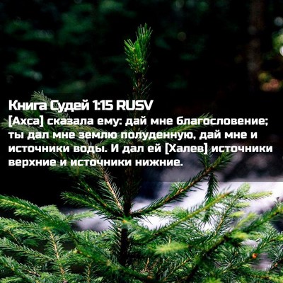 Picture 02 - Книга Судей 1:15 RUSV - [Ахса] сказала ему: дай мне - Bible Verse Picture