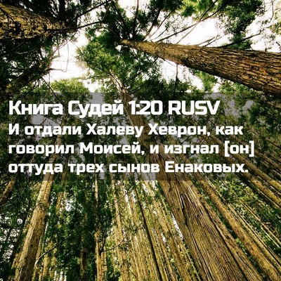 Picture 02 - Книга Судей 1:20 RUSV - И отдали Халеву Хеврон, как - Bible Verse Picture