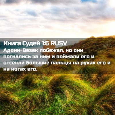 Picture 02 - Книга Судей 1:6 RUSV - Адони-Везек побежал, но они - Bible Verse Picture
