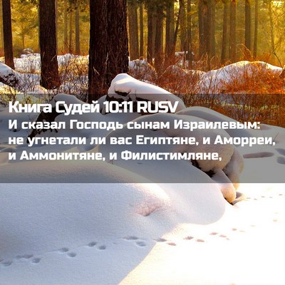 Picture 02 - Книга Судей 10:11 RUSV - И сказал Господь сынам - Bible Verse Picture