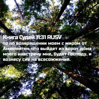 Picture 02 - Книга Судей 11:31 RUSV - то по возвращении моем с - Bible Verse Picture