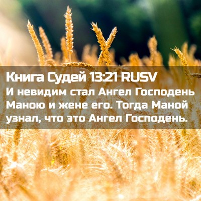 Picture 02 - Книга Судей 13:21 RUSV - И невидим стал Ангел - Bible Verse Picture
