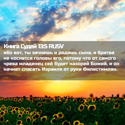 Picture 02 - Книга Судей 13:5 RUSV - ибо вот, ты зачнешь и - Bible Verse Picture