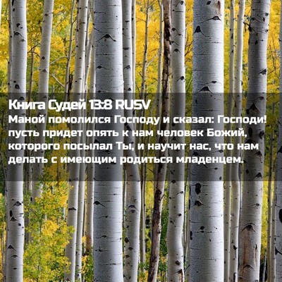 Picture 02 - Книга Судей 13:8 RUSV - Маной помолился Господу и - Bible Verse Picture