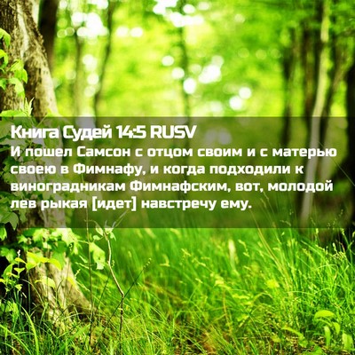 Picture 02 - Книга Судей 14:5 RUSV - И пошел Самсон с отцом - Bible Verse Picture