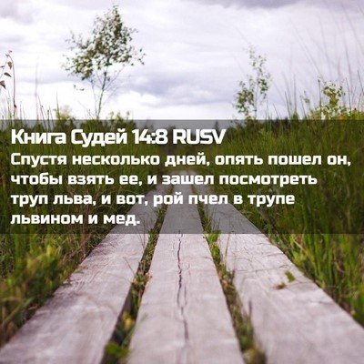 Picture 02 - Книга Судей 14:8 RUSV - Спустя несколько дней, - Bible Verse Picture