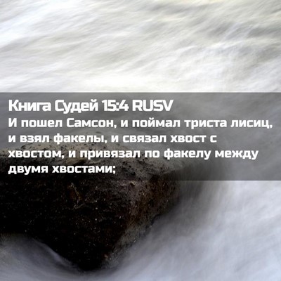 Picture 02 - Книга Судей 15:4 RUSV - И пошел Самсон, и поймал - Bible Verse Picture