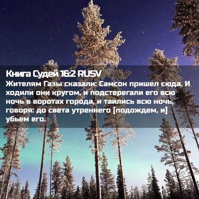 Picture 02 - Книга Судей 16:2 RUSV - Жителям Газы сказали: - Bible Verse Picture