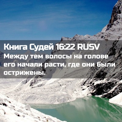 Picture 02 - Книга Судей 16:22 RUSV - Между тем волосы на голове - Bible Verse Picture