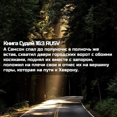 Picture 02 - Книга Судей 16:3 RUSV - А Самсон спал до полуночи; - Bible Verse Picture