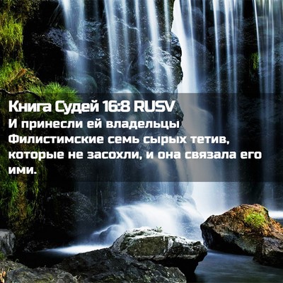 Picture 02 - Книга Судей 16:8 RUSV - И принесли ей владельцы - Bible Verse Picture