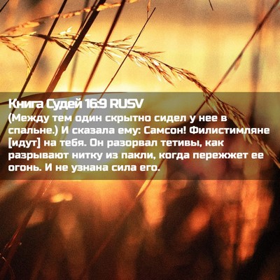 Picture 02 - Книга Судей 16:9 RUSV - (Между тем один скрытно - Bible Verse Picture