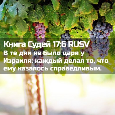 Picture 02 - Книга Судей 17:6 RUSV - В те дни не было царя у - Bible Verse Picture
