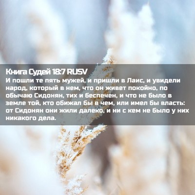Picture 02 - Книга Судей 18:7 RUSV - И пошли те пять мужей, и - Bible Verse Picture