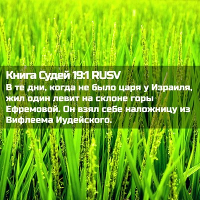 Picture 02 - Книга Судей 19:1 RUSV - В те дни, когда не было царя - Bible Verse Picture