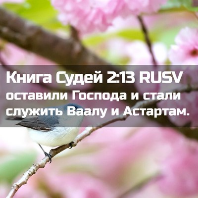 Picture 02 - Книга Судей 2:13 RUSV - оставили Господа и стали - Bible Verse Picture