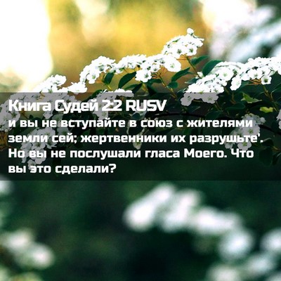 Picture 02 - Книга Судей 2:2 RUSV - и вы не вступайте в союз с - Bible Verse Picture