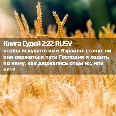 Picture 02 - Книга Судей 2:22 RUSV - чтобы искушать ими - Bible Verse Picture
