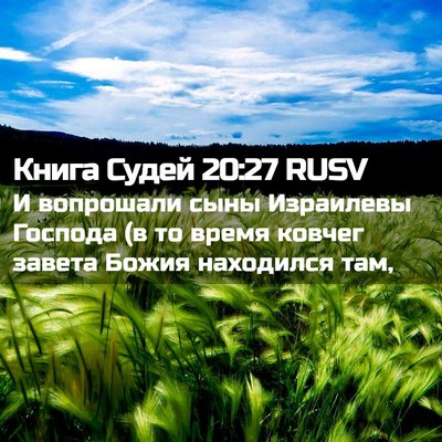 Picture 02 - Книга Судей 20:27 RUSV - И вопрошали сыны Израилевы - Bible Verse Picture