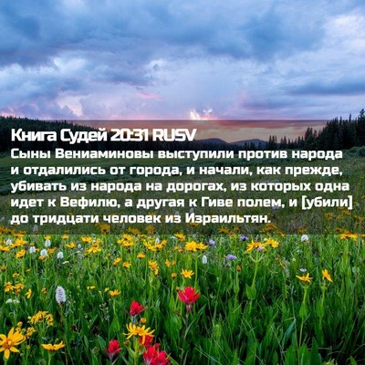Picture 02 - Книга Судей 20:31 RUSV - Сыны Вениаминовы - Bible Verse Picture