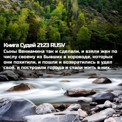 Picture 02 - Книга Судей 21:23 RUSV - Сыны Вениамина так и - Bible Verse Picture
