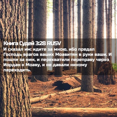 Picture 02 - Книга Судей 3:28 RUSV - И сказал им: идите за мною, - Bible Verse Picture